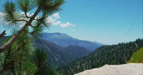 Scenic Mountain View with Pine Trees in a Serene Landscape Stock Footage 323365722