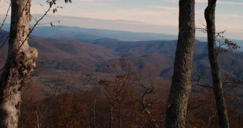 Scenic Mountain View through trees in 4k Stockbeeldmateriaal 144422062