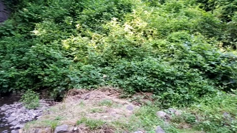 Scenic Mountain Waterfall Cascading Rapidly Over Rocks 動画素材 337855986