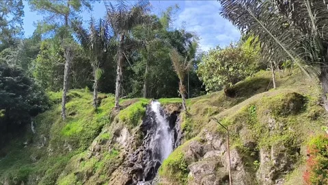 Scenic mountain waterfall flowing through lush greenery Video stock 312605432
