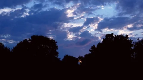 Scenic moving clouds at twilight with trees in foreground Stock Footage 89768782