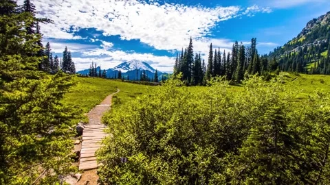 Scenic Naches Peak Loop Trail with Mount Rainier View Stock Footage 332141393