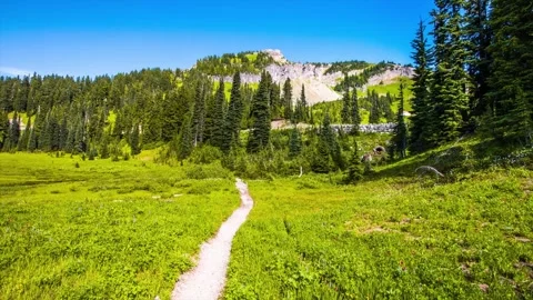 Scenic Naches Peak Loop Trail Meadow and Mountain Landscape in Mount Rainier Nat Video stock 332141396
