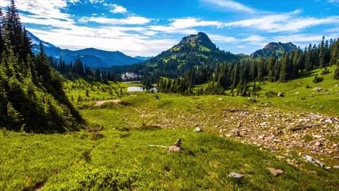 Scenic Naches Peak Loop Trail in Mount Rainier National Park, Washington Stock Footage 332141470
