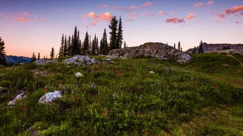 Scenic Naches Peak Loop Trail, Mount Rainier National Park, Washington State, US Stock Footage 332141637
