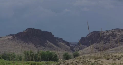 A scenic Nevada canyon view framed by desert grass Vídeo Stock 334893984