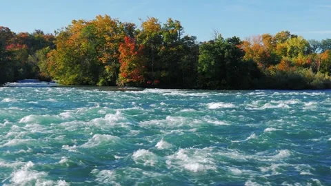 Scenic Niagara river rapids flowing with vibrant autumn trees in background. Stock Footage 334639022