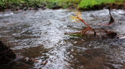 Scenic northwest river close-up Stock Footage 51679610
