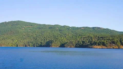 Scenic ocean view of dense green forest covered hills along coastal shoreline Stock Footage 342053882