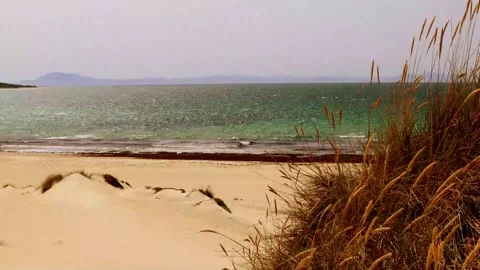 Scenic Ocean View Stock Footage 232128083