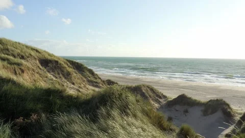 Scenic ocean view from grassy sand dunes 스톡 동영상 338083077