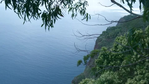 Scenic ocean view from a high cliff with swaying tree leaves Видео 333694936