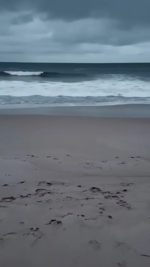 Scenic Ocean Waves Rolling onto a Sandy Beach – Relaxing Coastal Footage Video stock 303102715