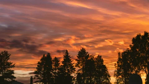 Scenic orange burning sky, close up summer sunrise video Stock Footage 229610129