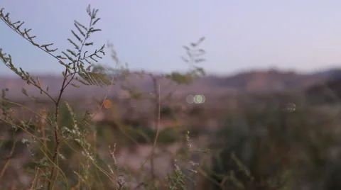 Scenic Outdoors Stock Footage 40814694