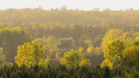 Scenic Overlook with Distant Rain Stock Footage 103481908