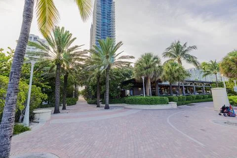 Scenic palm tree path and modern high-rise building on Ocean Drive Stock Photos