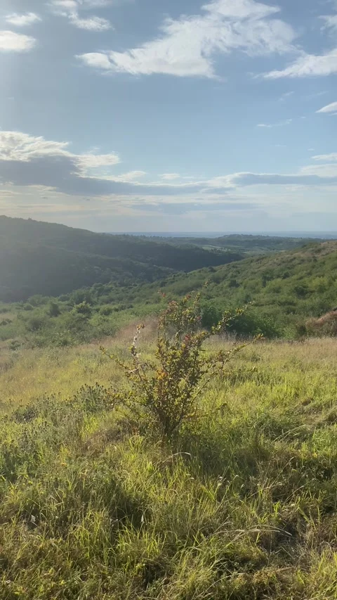 Scenic pan across the rolling green landscape of Fruska Gora Vídeos de archivo 343567617