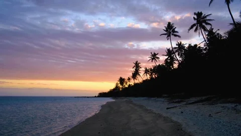 Scenic pan down silhouetted coconut palm trees on beach beautiful sunset sky on Video stock 348128956