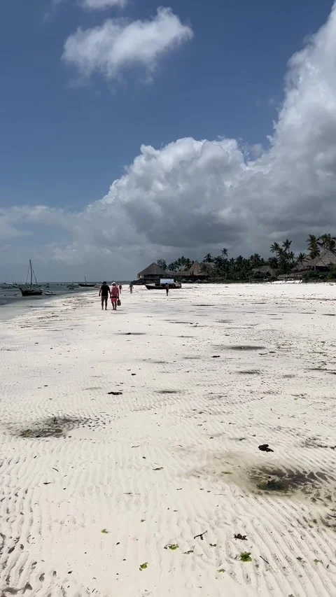 Scenic pan shot of Matemwe beach during low tide with dhow boats in Zanzibar Vidéo 344040187