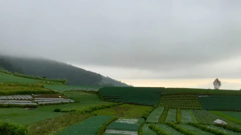 Scenic Panorama of Terraced Vegetable Fields on Mount Sumbing Vidéo 331871680