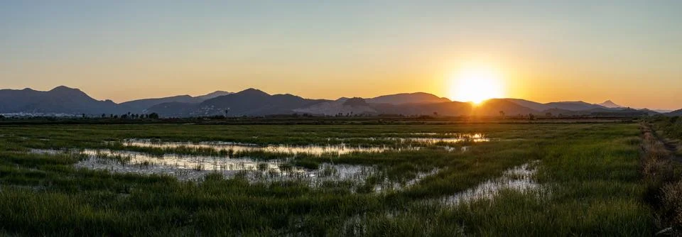 Scenic panoramic view of flooded fields at sunset in Pego Oliva Natural Par.. Stock Photos