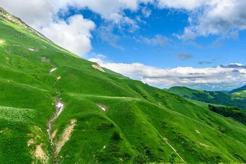 Scenic panoramic view of idyllic rolling hills landscape with blooming meadows Stock Photos