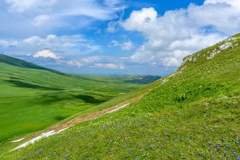 Scenic panoramic view of idyllic rolling hills landscape with blooming mead.. Foto stock