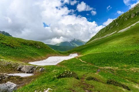 Scenic panoramic view of idyllic rolling hills landscape with blooming mead.. Foto stock