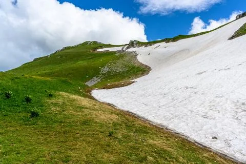 Scenic panoramic view of idyllic rolling hills landscape with blooming meadows Stock-Fotos