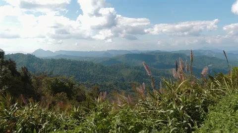 Scenic panoramic view of lush mountain range under blue sky Видео 255023823