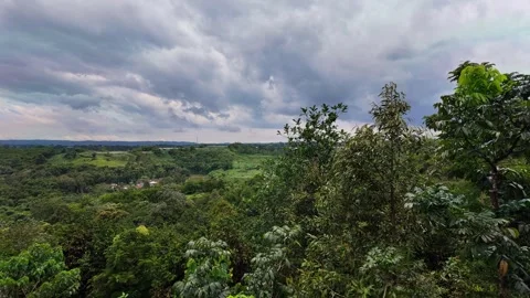 Scenic panoramic view of lush tropical green hills Video stock 346625620