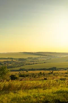 Scenic panoramic view of open fields Stock Photos