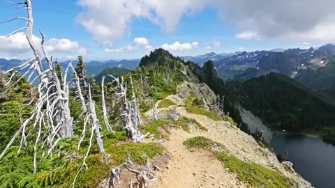 Scenic Panoramic View from Tolmie Peak Trail Lookout, Mount Rainier National Par Stock Footage 332084490