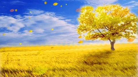 Scenic Park Landscape with Solo Tree Stock Footage 346196311