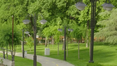 Scenic park path lined with trees and lamps Vídeo Stock 333327491