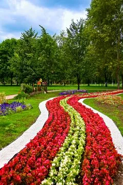 Scenic park pathway bordered by flowing rows of red and white flowers, crea.. Stock Photos