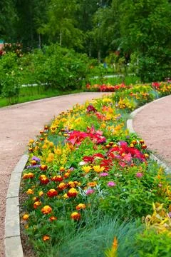 Scenic park pathway bordered by vivid blooming flowers and lush greenery. I.. 库存照片