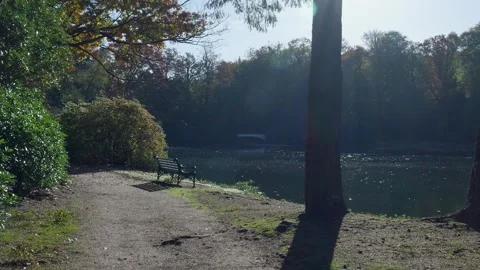 Scenic park pathway with an empty bench beside a lake on a sunny day Stock Footage 320812719