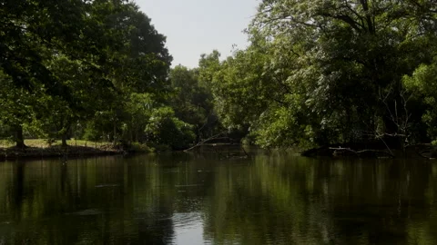 Scenic Park reflection at noon Stock Footage 305426759
