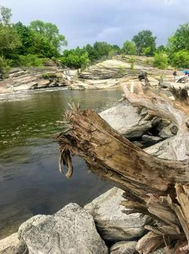 Scenic Park View of Hog's Back Park Stock Photos