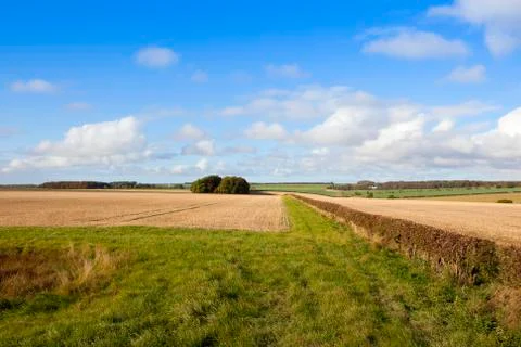 Scenic patchwork landscape Stock Photos