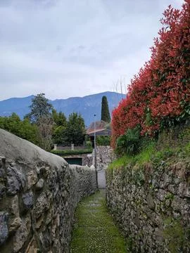 A scenic path between stone fences adorned with red flowers, leading to a pan Stock Photos