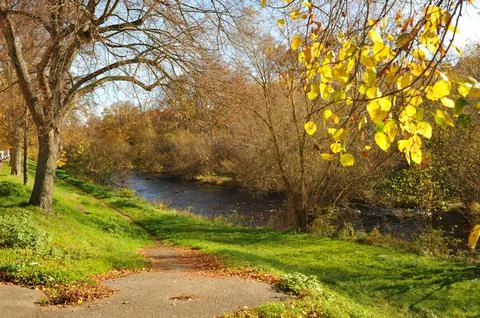 Scenic path with falling leaves, Tranquil outdoor setting with colorful fol.. Stock Photos