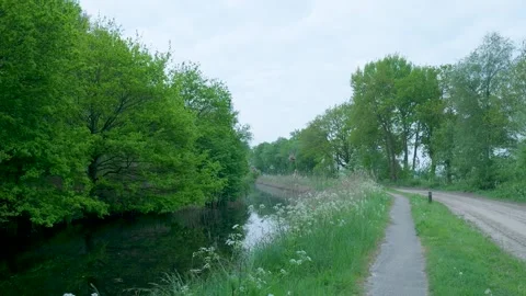 Scenic path following a tranquil river surrounded by lush green foliage 스톡 동영상 336845165