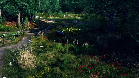 Scenic path in a green forest during bright daylight Stock Footage 343576888