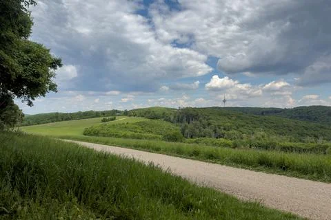 Scenic path through rolling hills. Фото