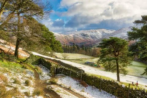 A scenic path through winter trees near Glenridding. Stock-Fotos