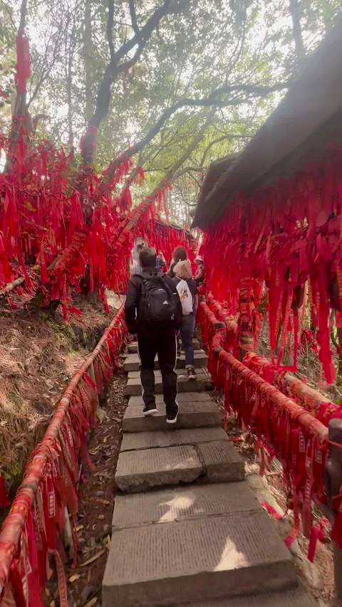 A scenic pathway lined with red ribbons Stock Footage 313284518