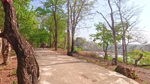 Scenic Pathway Through Champasak's Lush Greenery 動画素材 306814935
